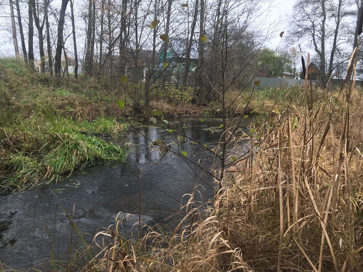 Участники МВС Владимирской области ведут исследовательскую работу над рекой Наромша.